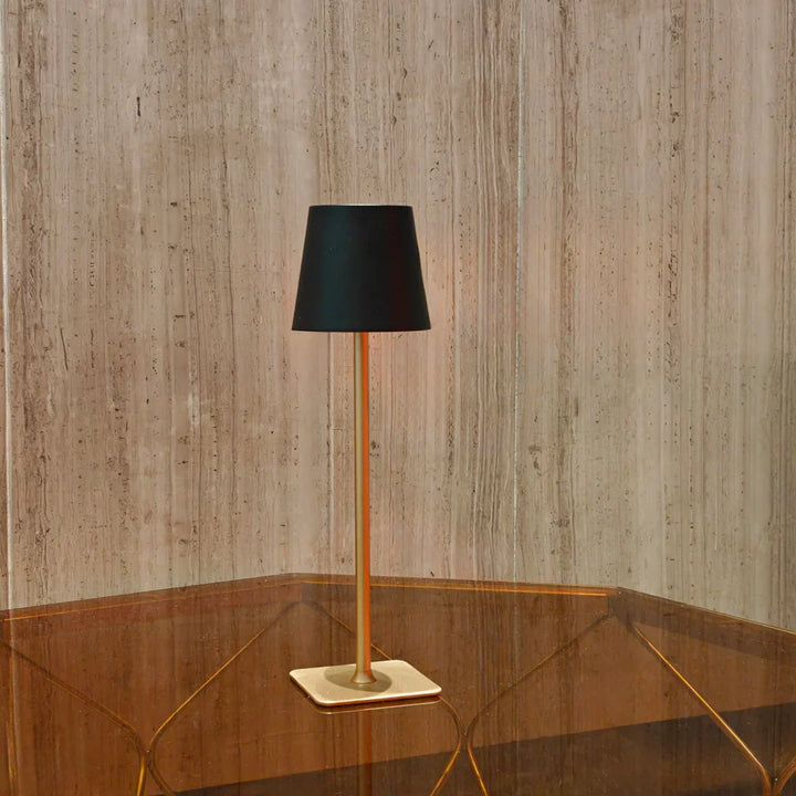 Cordless Nvroome LED table lamp, modern, dimmable. Rechargeable for indoor/outdoor convenience.