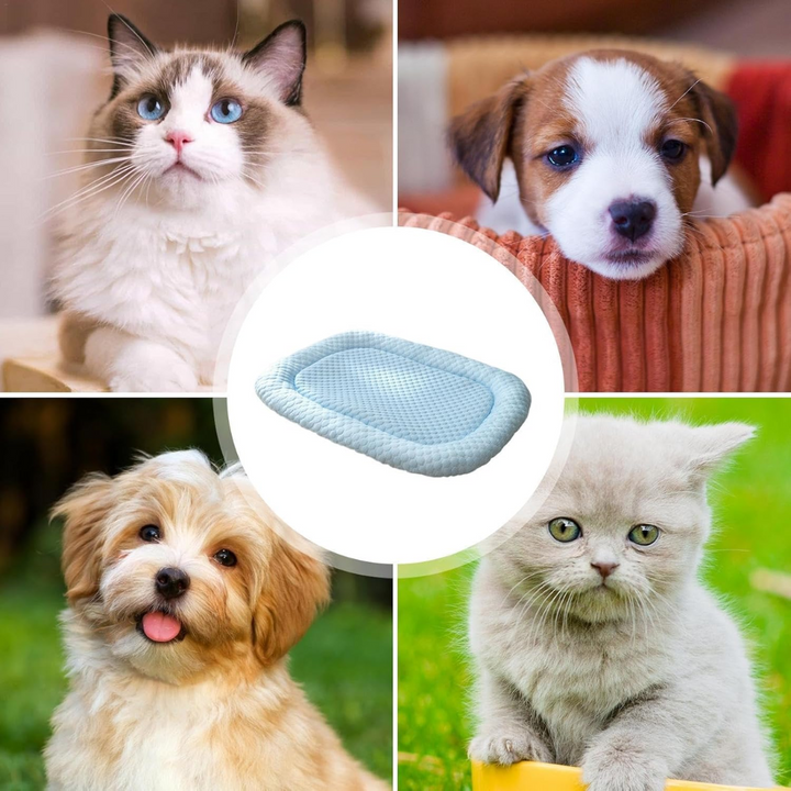 Luxurious ice silk pet bed for supreme cooling & calming, perfect for summer dog & cat comfort.