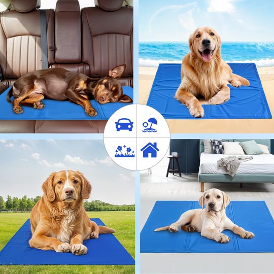 Comfortable cooling mat for cats & small dogs, perfect for indoor summer heat relief. Portable gel pet bed.