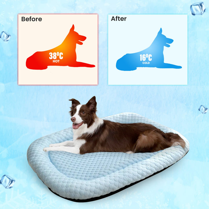 Soft blue ice silk cooling pet mat, providing comfort for dogs & cats in summer heat.