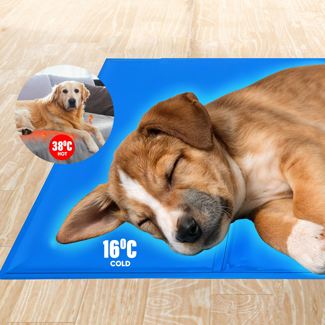 Scratch-resistant pet cooling mat for dogs & cats, easy to clean & maintain. Offers durable comfort against summer heat.