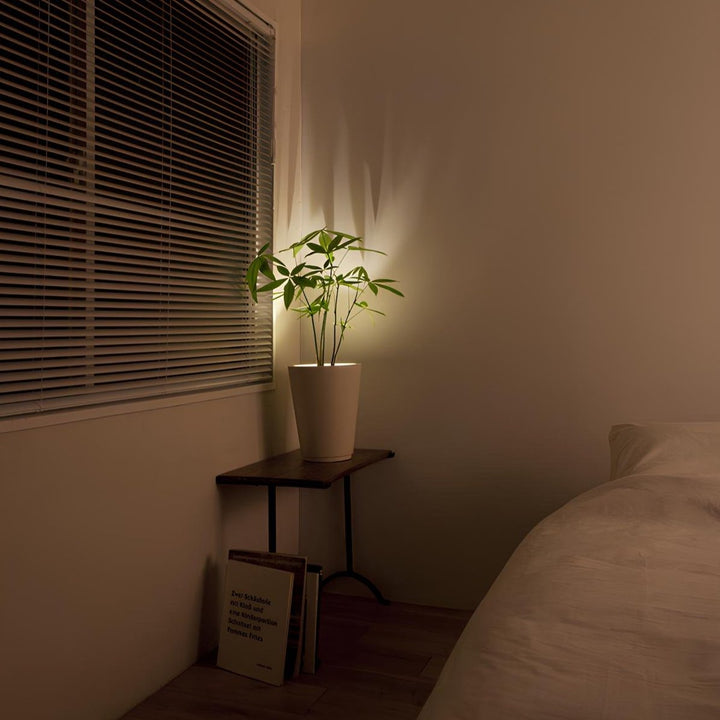 Modern wireless LED accent light, Nvroome brand. Dimmable, rechargeable, remote controlled spotlight.