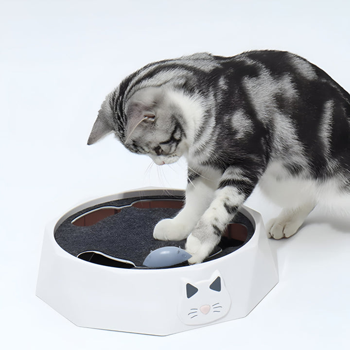 Interactive cat activity center with a mouse toy to stimulate hunting instincts. Perfect for playful cats & kittens.