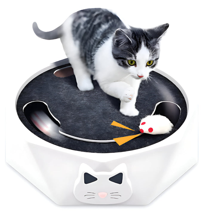 Engaging interactive cat activity center with mouse & scratch pad. Provides stimulating feline fun for all cats.