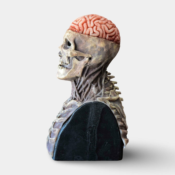 Spooky skeleton Halloween mask with movable jaw, ideal costume accessory for cosplay, horror themes, and adult parties.