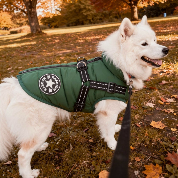 Durable padded dog gear: winter jacket with built-in harness & reflective strips for all-weather protection.