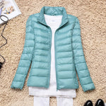 Powder blue standard