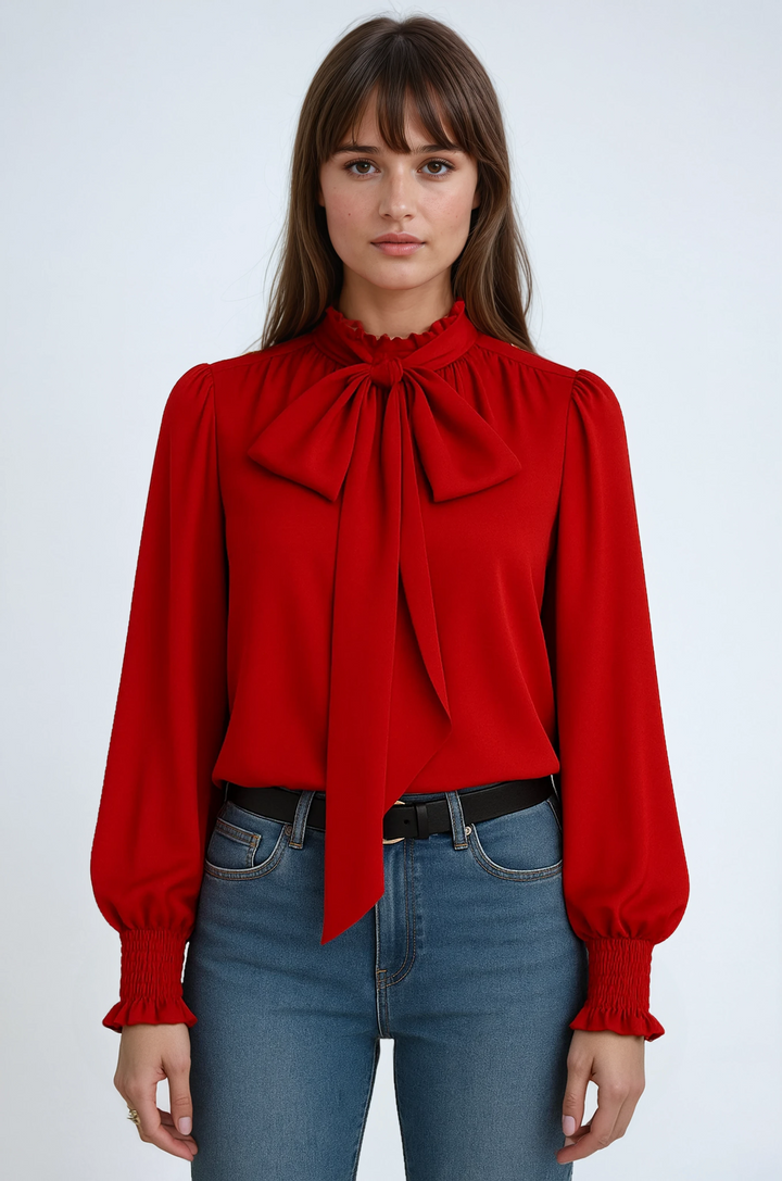 Women's elegant long sleeve tie-neck blouse, perfect for sophisticated workwear or chic casual outfits.