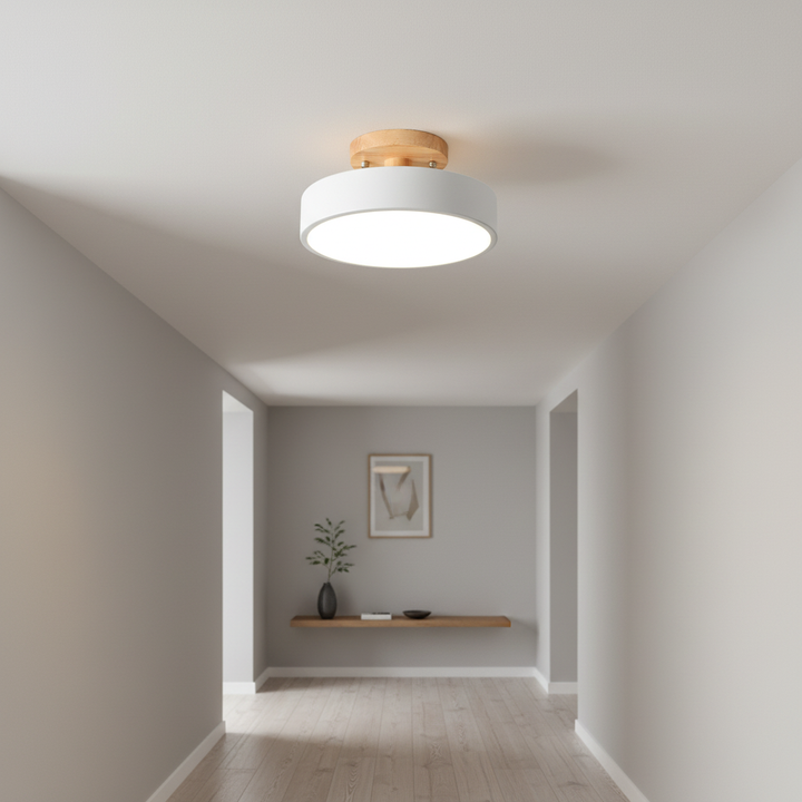 Modern Scandinavian round LED ceiling light, minimalist design, perfect home decor for any interior.