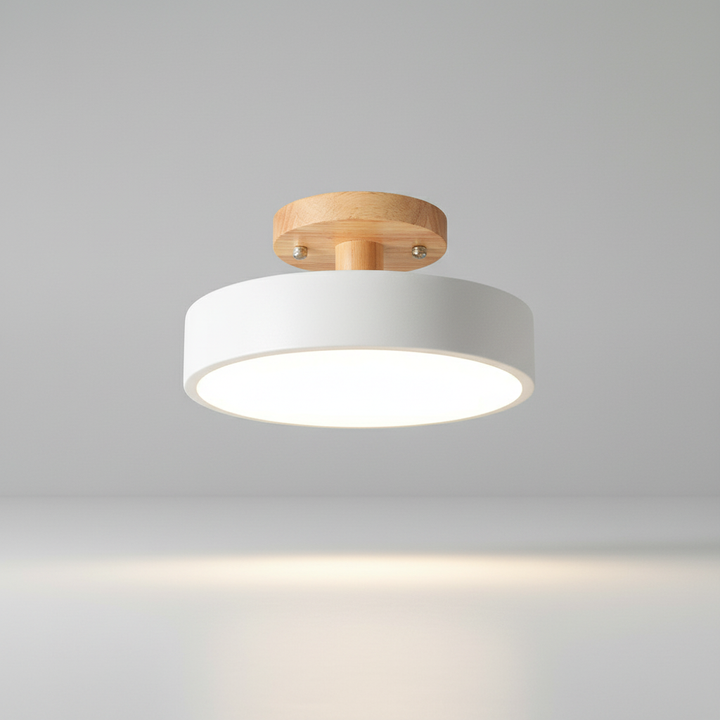 Sleek round LED ceiling light, modern minimalist Scandi design, brightens any entryway or room.