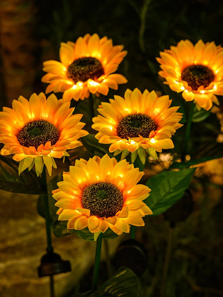 Waterproof solar sunflower lights, ideal for illuminating gardens, pathways, and yards beautifully.