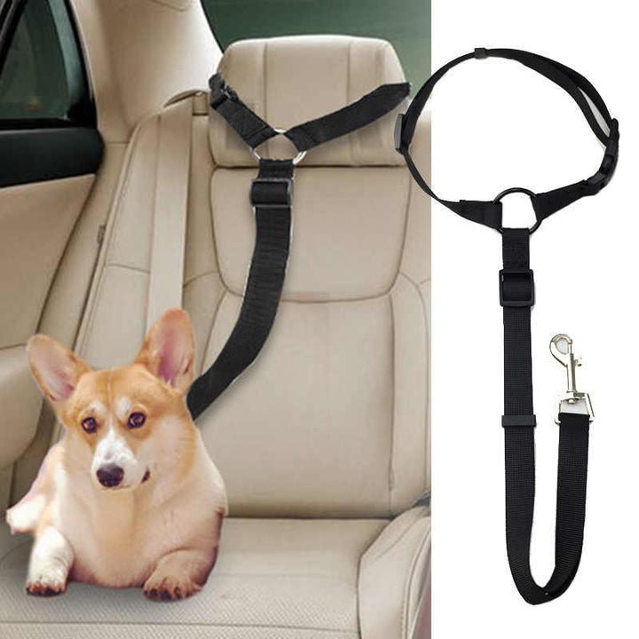 Adjustable dog car safety leash & pet seatbelt for secure, comfortable travel.