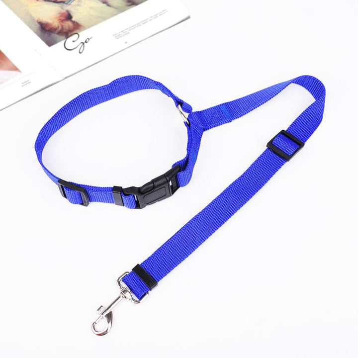 Comfortable adjustable dog car seatbelt leash for safe vehicle rides.