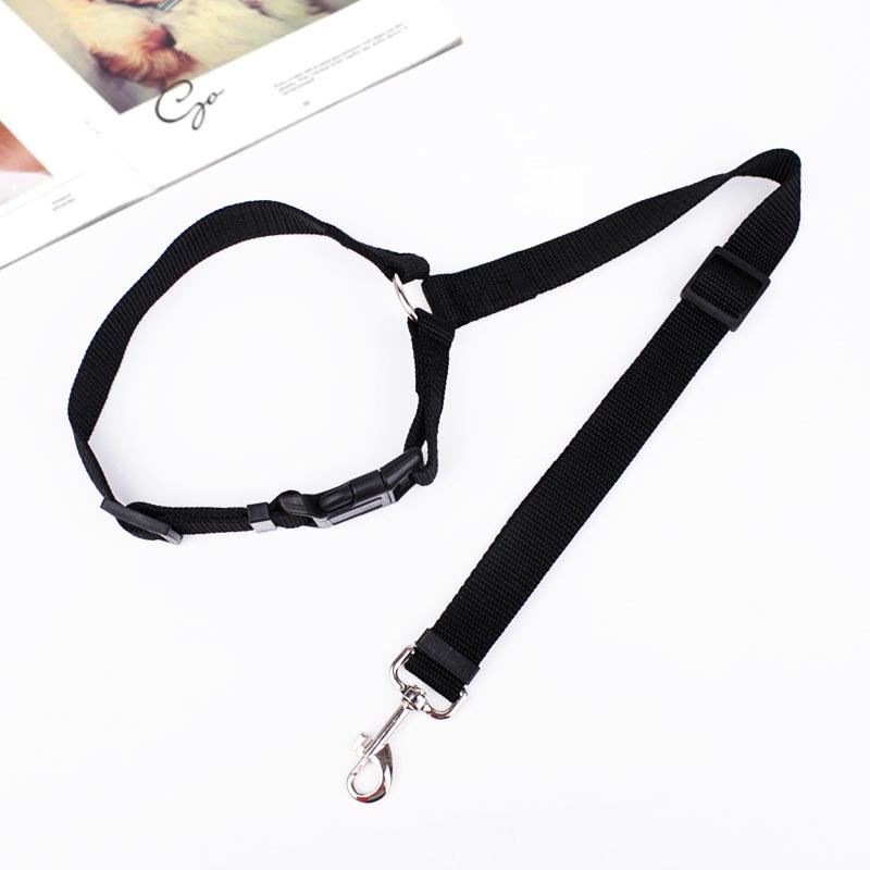 Durable adjustable dog leash connects to harness for reliable car safety.