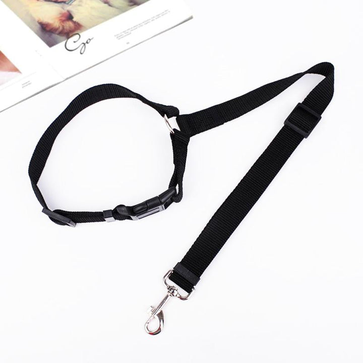 Durable adjustable dog leash connects to harness for reliable car safety.