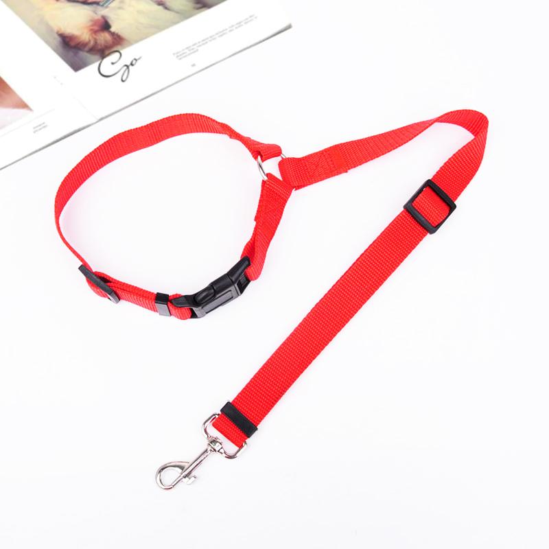 Pet travel safety leash, adjustable length for dogs in cars.