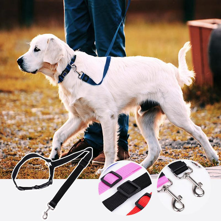 Easy-clip adjustable dog car safety leash for quick pet travel setup.