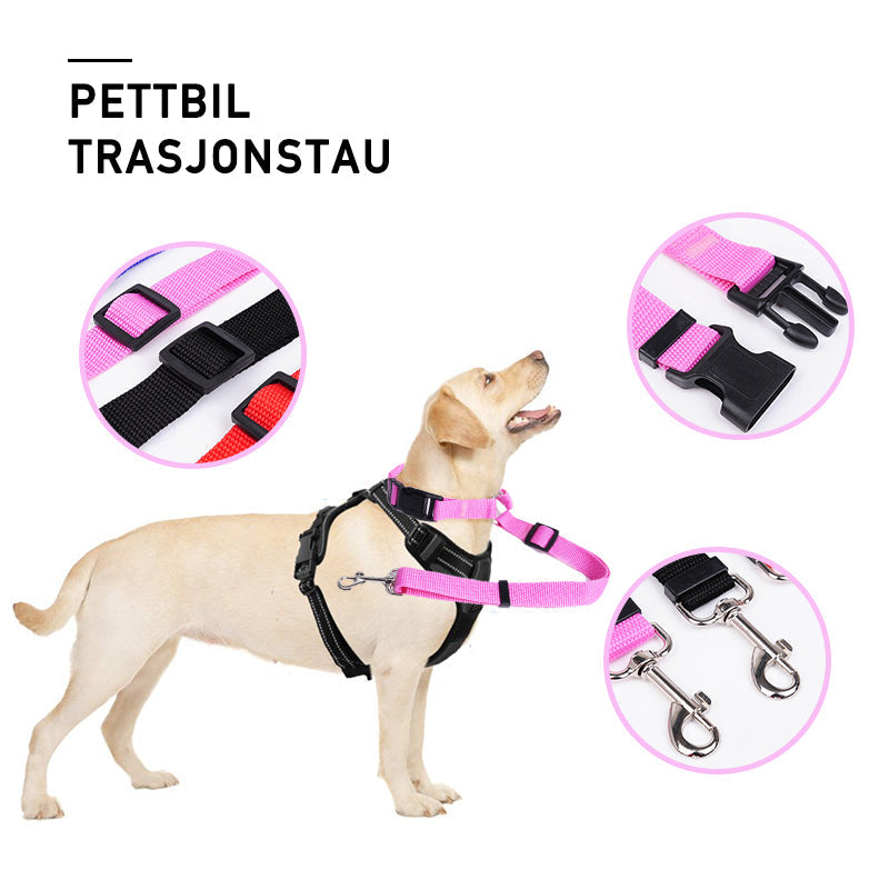 Vehicle safety leash for dogs, adjustable to prevent pet movement in car.