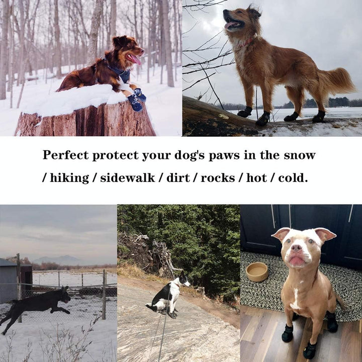Premium dog boots, durable and non-slip, essential dog accessories for outdoor dogs.