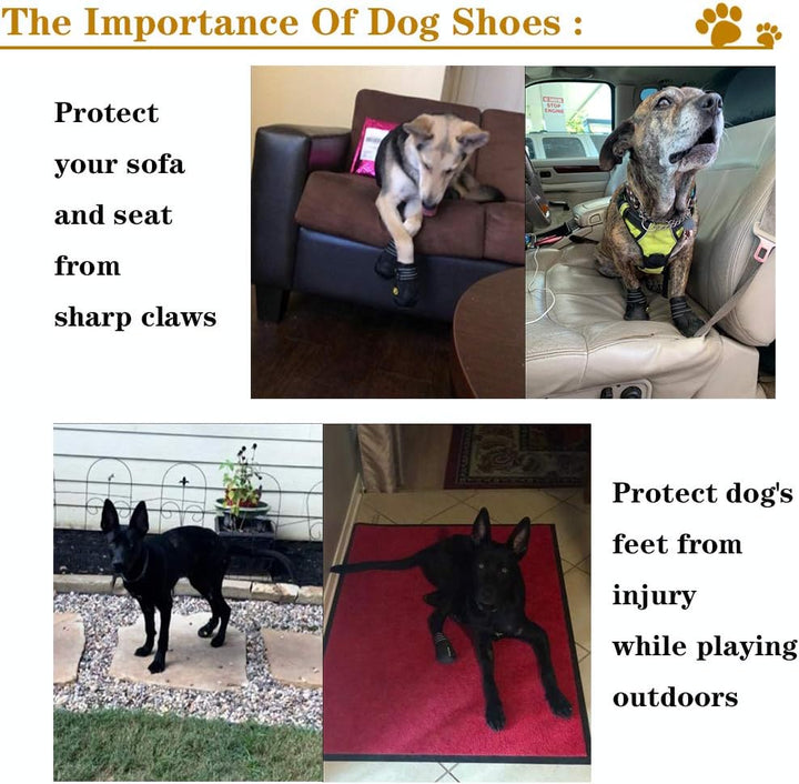 All-weather dog boots for small to large dogs, offering robust paw protection.