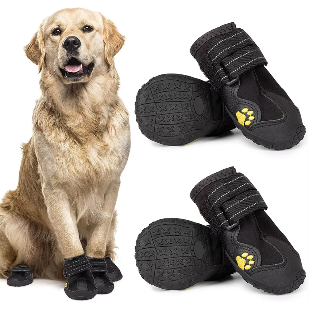 Non-slip dog boots, durable and waterproof, ideal for all outdoor dog activities.