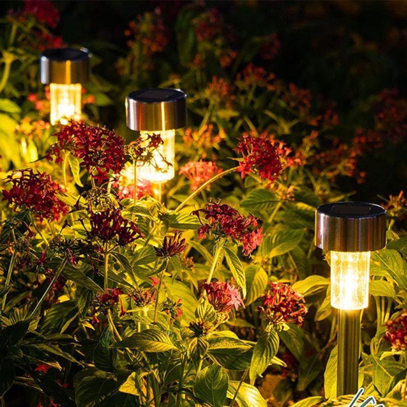 Solar LED pathway lights with black shell, perfect for enchanting garden ambiance & landscape lighting.