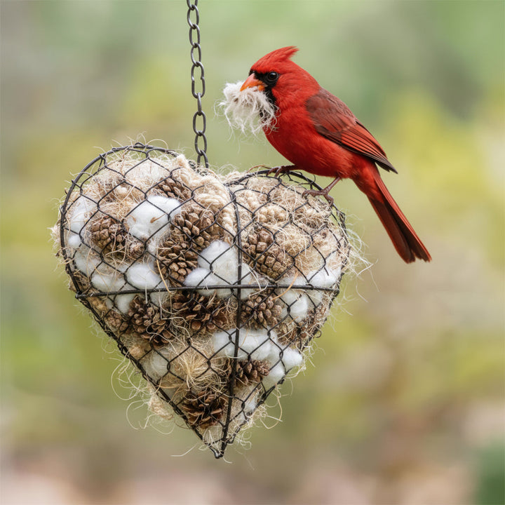 Soft, natural fiber bird nesting material in a heart for aviary & wild bird habitats. Supports comfortable nesting.