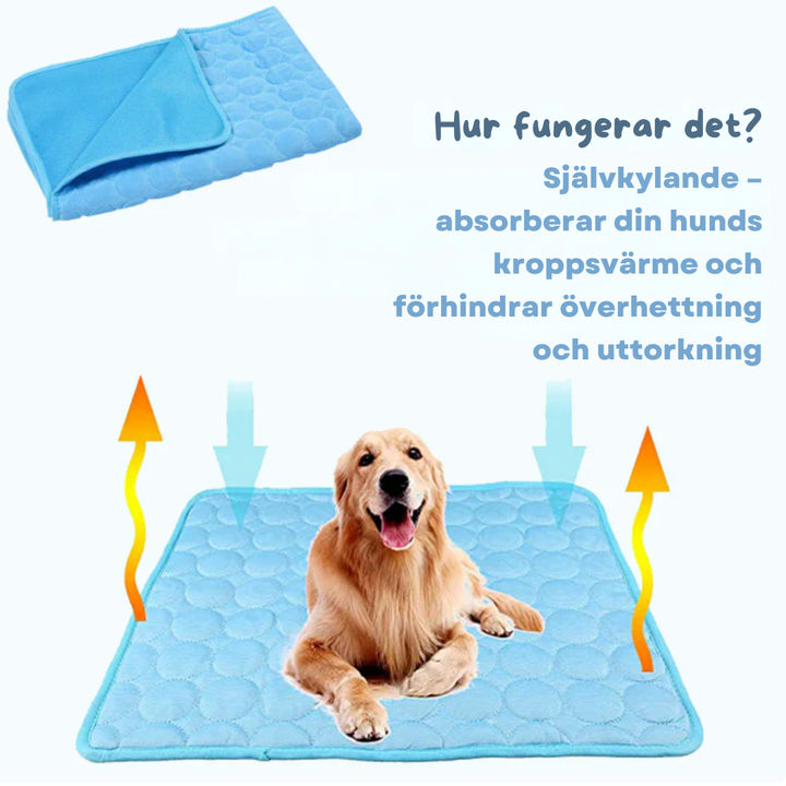Cooling pad for dogs & cats, providing instant relief from heat, a travel-friendly pet mat.