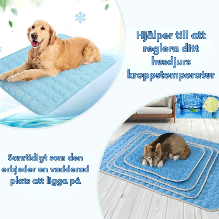 Durable pet cooling mat, a breathable & washable summer bed for dogs, cats & travel.