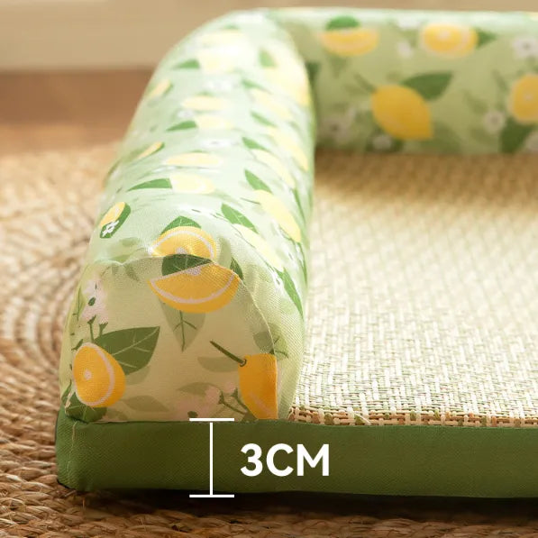 Feline comfort: Summer cooling mat for cats, raised edge provides heat relief. A cool pet bed.