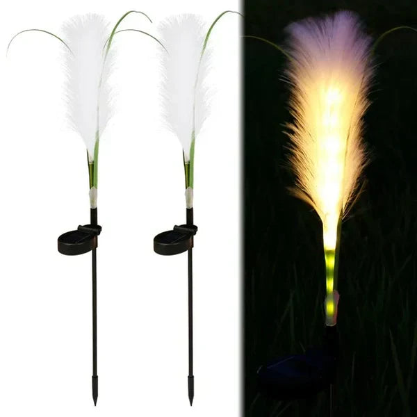 Warm glow decorative reed lights brightening your garden and patio at dusk.