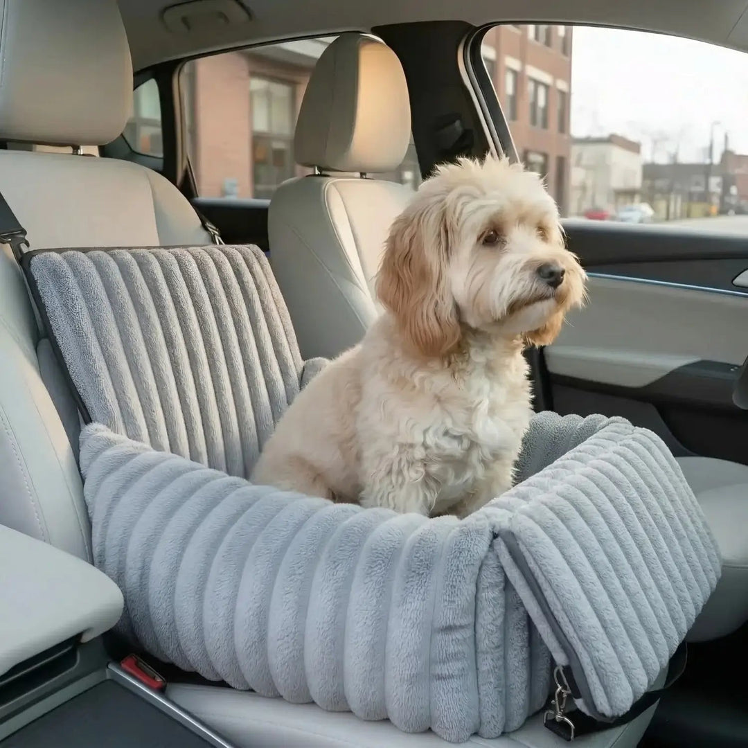 Secure dog car booster seat for safe & comfortable pet travel. Essential pet safety accessory.