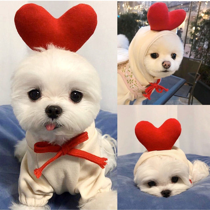 Cute dog Halloween costume hoodie for small pets. Cozy and warm pet apparel.
