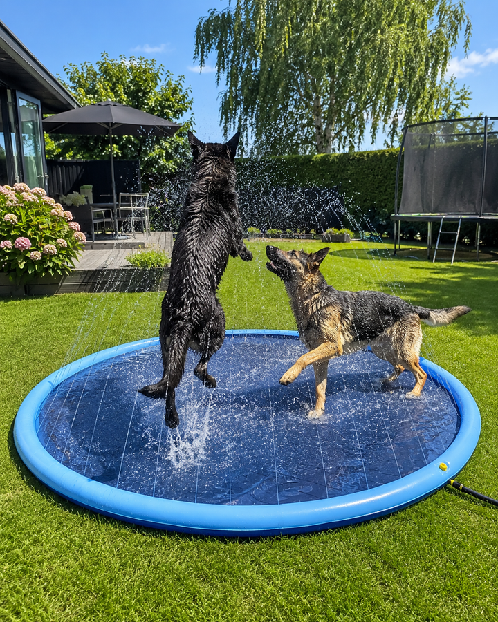 Happy dog enjoying a refreshing splash pad sprinkler pool. Perfect for summer water play & pet cooling.