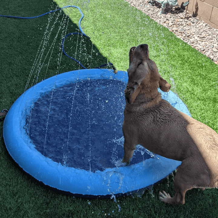 Interactive dog sprinkler pad, a fun outdoor water mat for summer play and pet cooling activities.