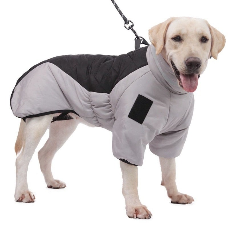Premium winter dog coat, waterproof and reflective, providing ultimate warmth and safety for large dogs in snow.