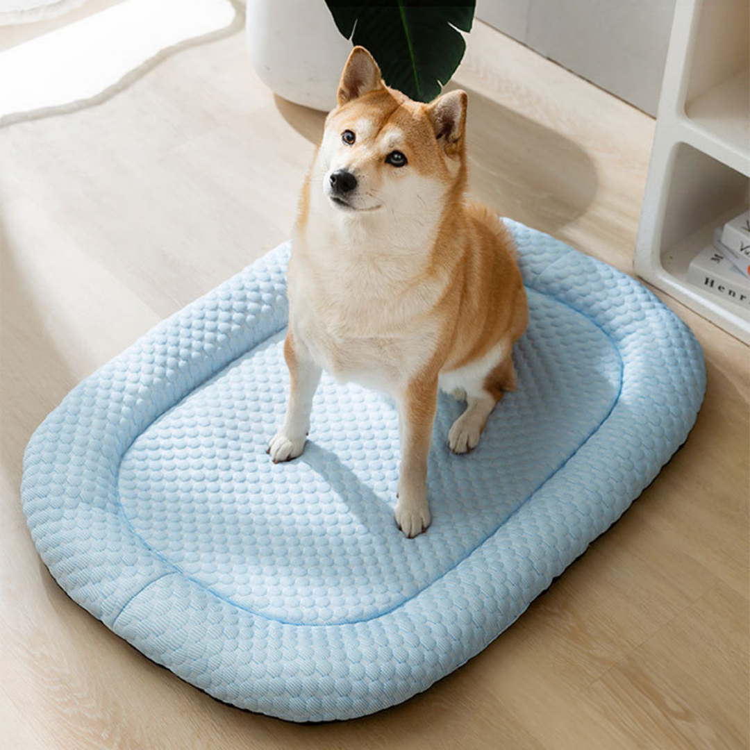 Blue pet cooling mat, ice silk bed for dog & cat summer comfort. Washable pet supplies.