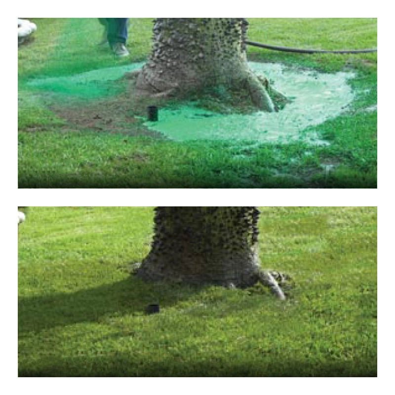 Innovative liquid lawn seed spray ensures even coverage for dense, green grass. Ideal for lawn care & repair.