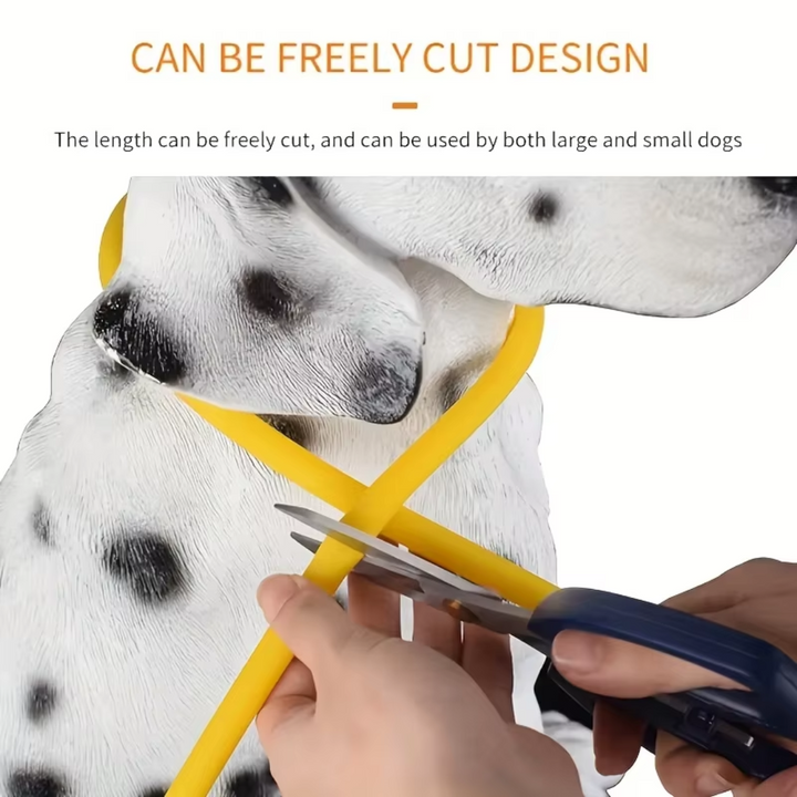 Rechargeable LED safety collar. Keeps your dog visible & secure during night walks.