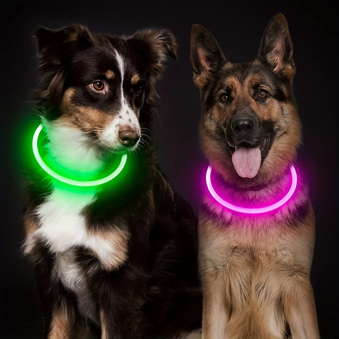 Essential pet safety: USB rechargeable LED dog collar for clear visibility at night.