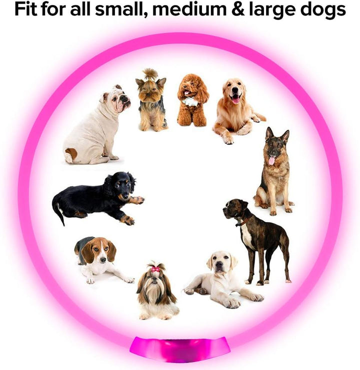 Bright LED dog collar, USB rechargeable. Ensures pet safety and high visibility during night walks.