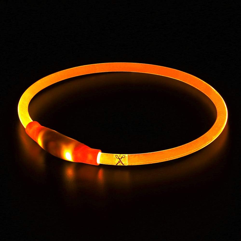 Rechargeable LED dog collar for ultimate pet safety & visibility during night walks.