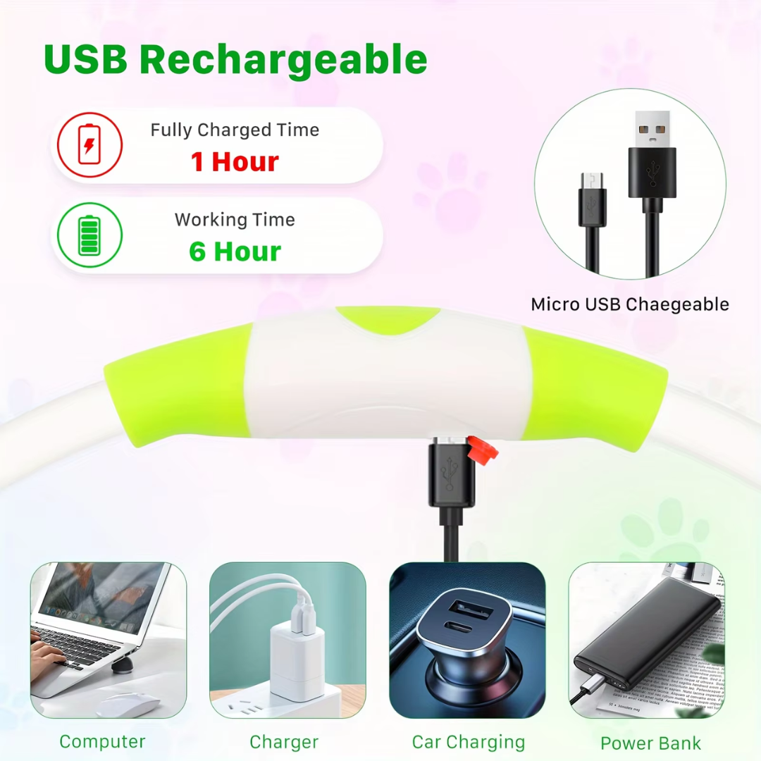 Pet safety LED collar. USB rechargeable for bright visibility & secure night walks.