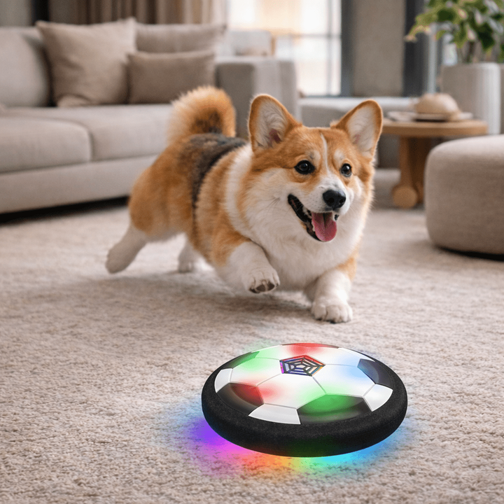 Interactive hover soccer ball dog toy with LED lights & protective foam bumper for safe indoor play.