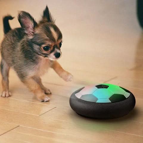 Pet hover ball toy with dazzling LED lights and protective foam bumper, designed for interactive dog play indoors.
