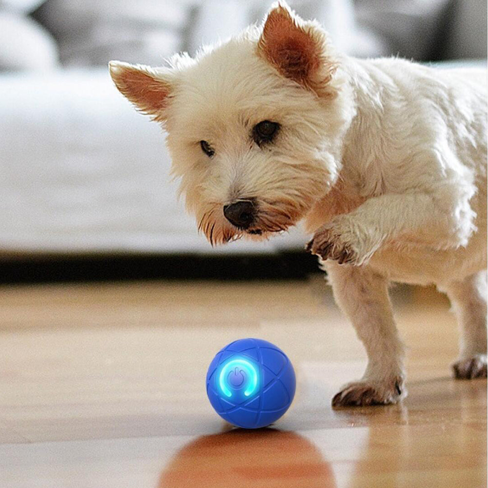 Rechargeable smart pet ball toy with automatic movement for interactive dog & cat play.