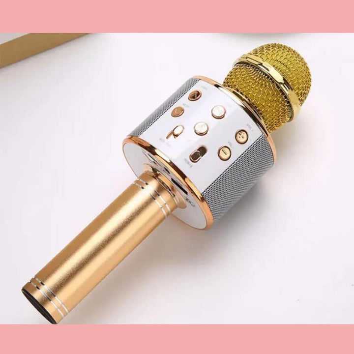 Wireless portable karaoke microphone & Bluetooth speaker for fun singing sessions anywhere, anytime.