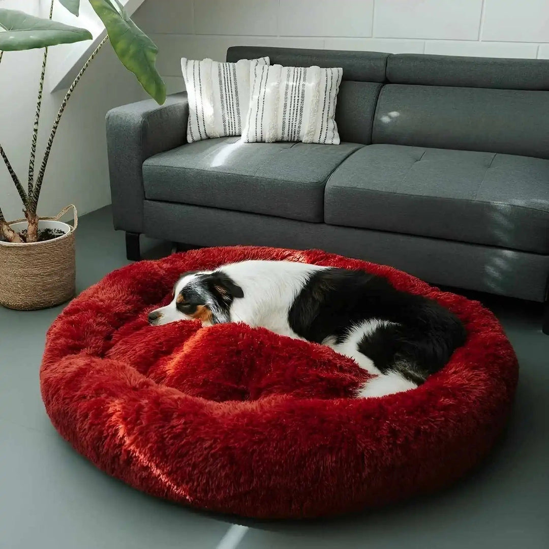 Happy dog sleeping soundly in a comfortable, plush calming pet bed, promoting restful sleep.