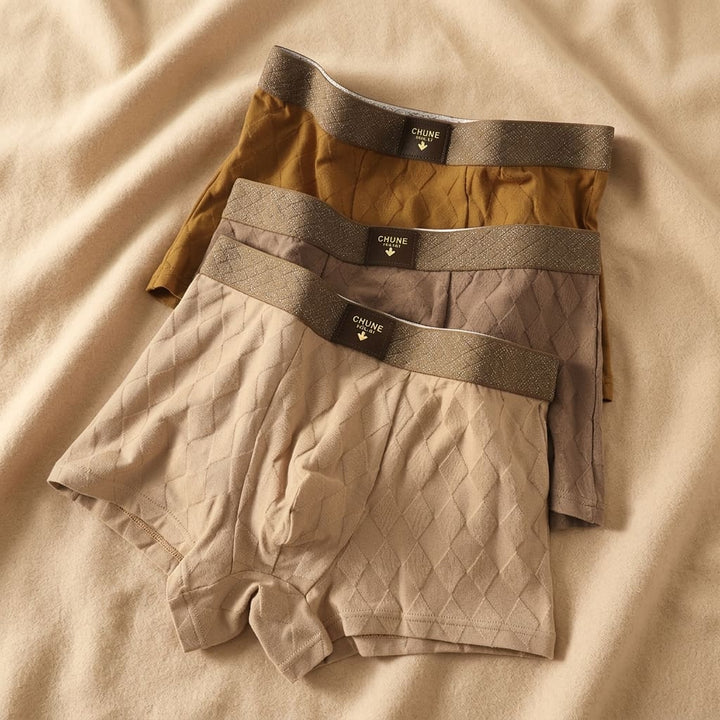 Set of men's understated boxer briefs, offering comfortable support and soft feel. Essential multi-pack undergarments.
