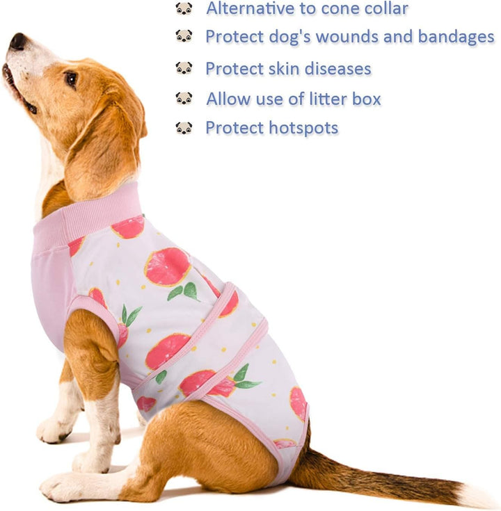 Versatile pet recovery suit, ideal for dog surgery & cat post-op wound protection & comfort.
